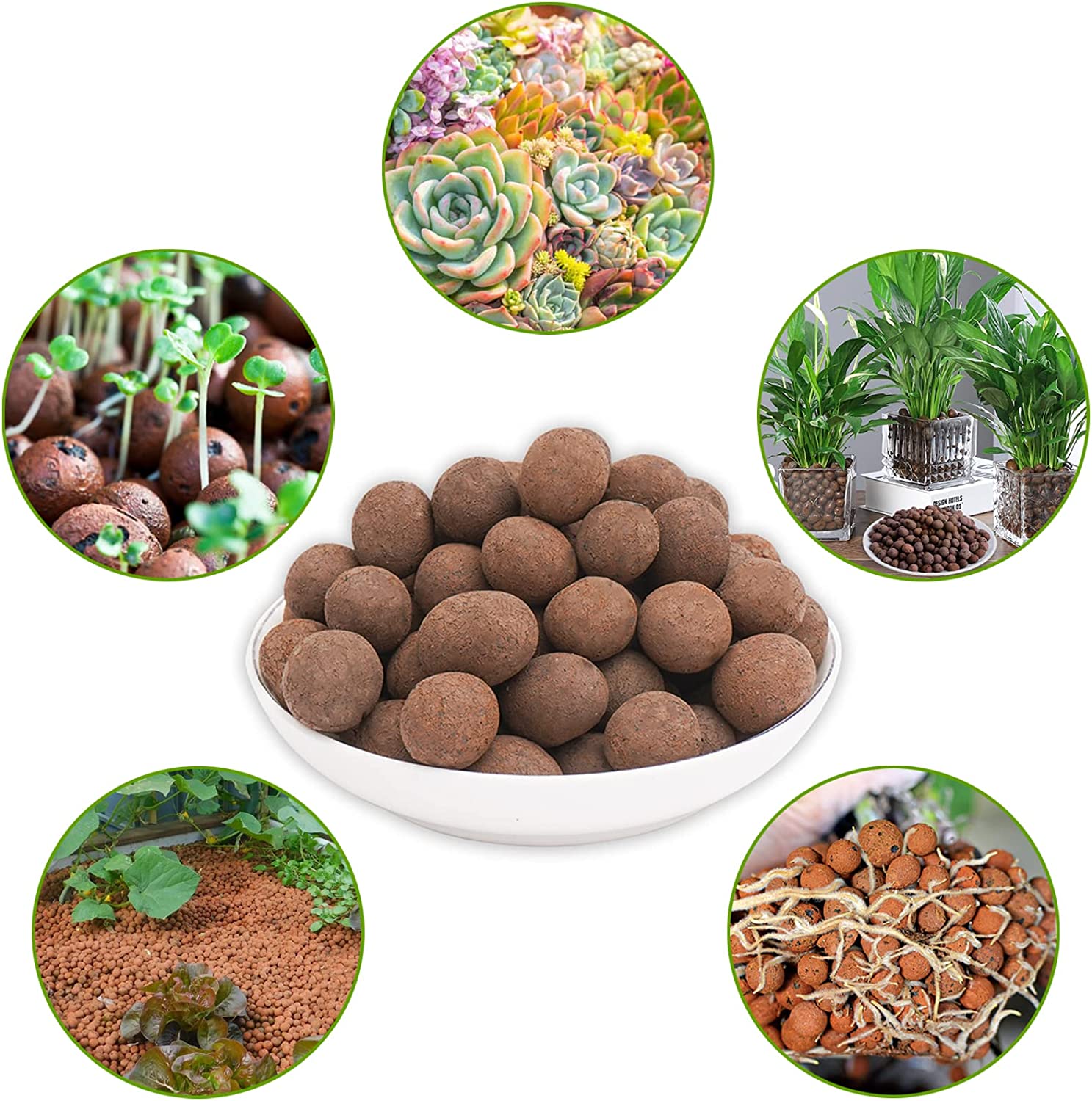 ZeeDix 6lb LECA Clay Pebbles Decorative Organic Seedling Plants Grow Media  Reusable Hydroponic Supplies 